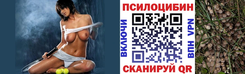 Галлюциногенные грибы Psilocybe  Родники 