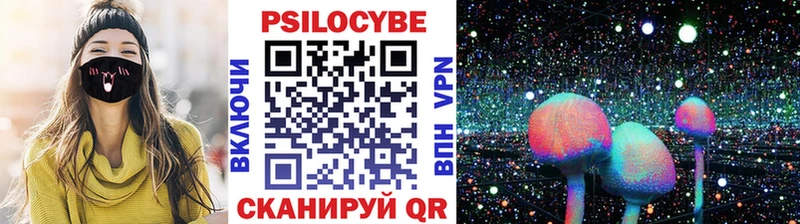 Псилоцибиновые грибы Psilocybine cubensis Родники
