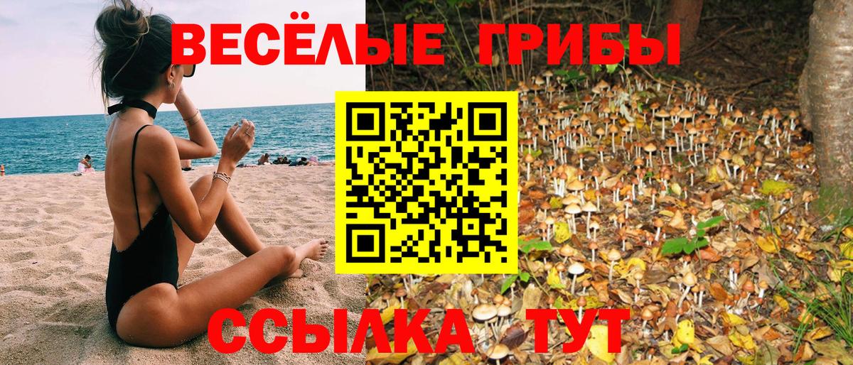 Галлюциногенные грибы GOLDEN TEACHER  Вход с VPN  Родники  Галлюциногенные грибы мицелий 